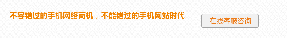 不容錯過的手機網(wǎng)絡(luò)商機，不能錯過的手機網(wǎng)站時代